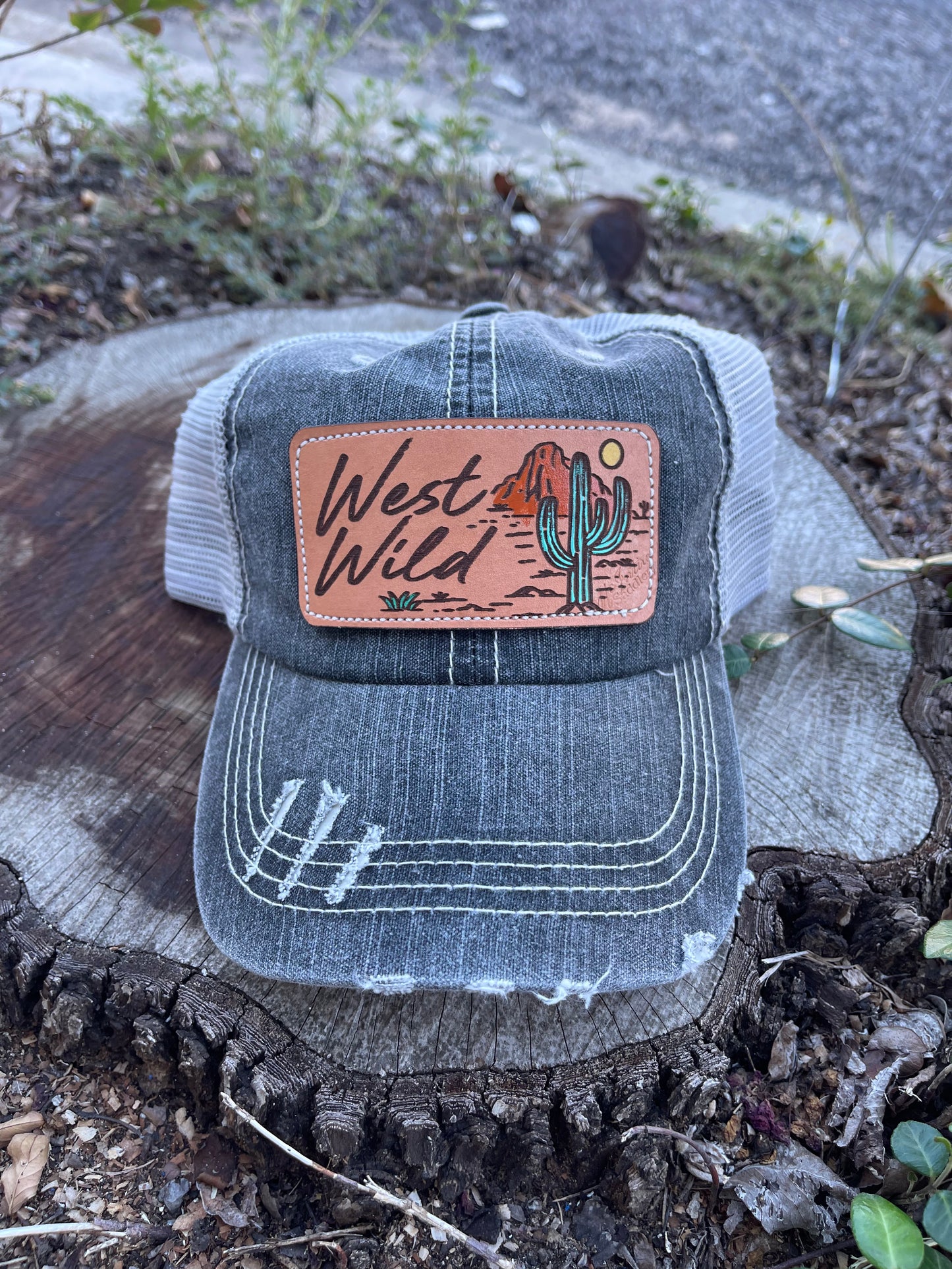 McIntire West Wild Saguaro